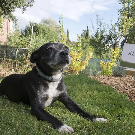 아파트호텔 라 코론치나 로징 4*