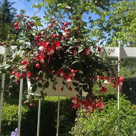 Lägenhetshotell La Coroncina 2*