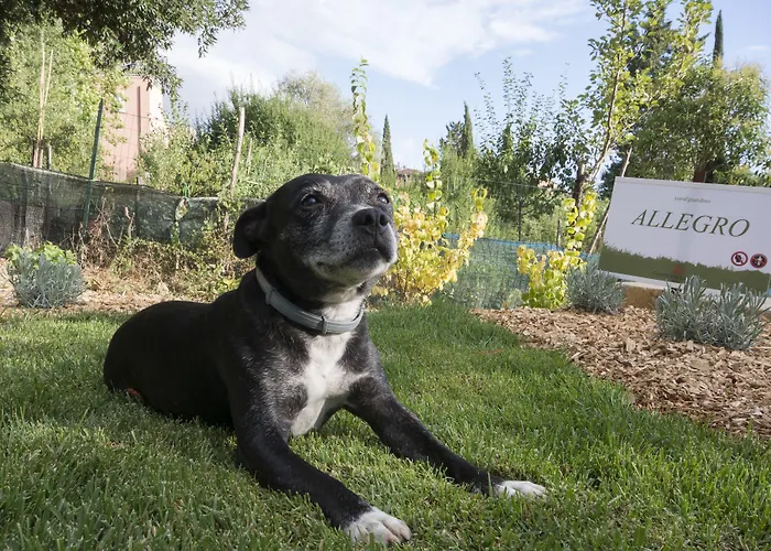 아파트호텔 라 코론치나 로징 4*