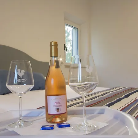 拉科罗西纳公寓式酒店 锡耶纳